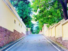 -八大关景区