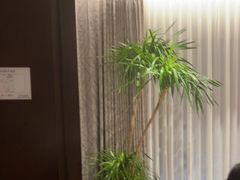 -徐记海鲜(观沙岭|滨江新城店)