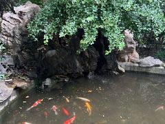 -上海新锦江大酒店