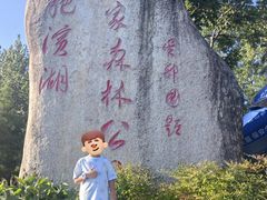 -合肥滨湖国家森林公园