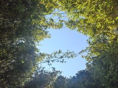 -森波拉火山温泉