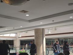 -上海中医药大学附属曙光医院(东部)