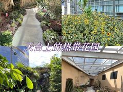 -正佳雨林生态植物园