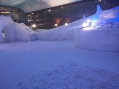 -世界之窗阿尔卑斯冰雪世界