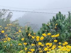 -广东天露山旅游度假区
