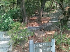 -广州市白云山风景名胜区