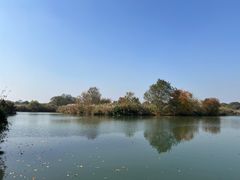 -西溪国家湿地公园