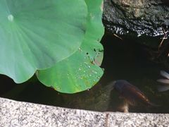 -佛有缘素食馆·荔湾老字号(陈家祠首店)