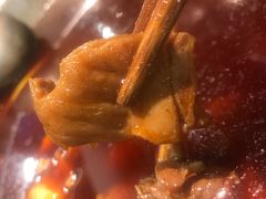 -冯记香辣兔火锅(茶店子总店)