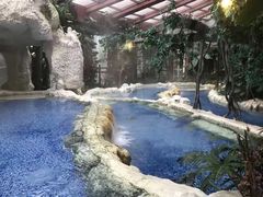 -中铁花水湾温泉酒店(大邑店)