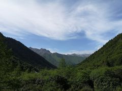 -黄龙山原始森林景区