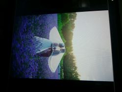 android_upload_pic-戛纳印象摄影(潮拍定制馆)