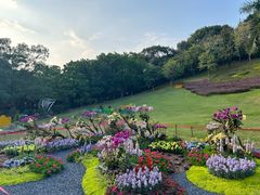-广州市白云山风景名胜区