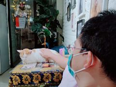 -平行世界·猫咖(首经贸店)