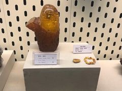 -青藏高原自然博物馆