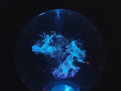-广东科学中心