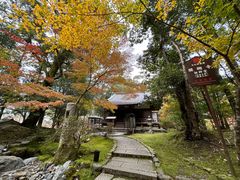-醍醐寺