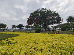 -石炮台公园