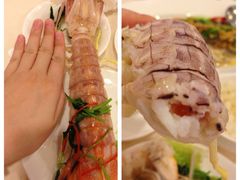海鲜-新梅园不夜粥(龙华店)