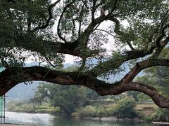 -上坦村