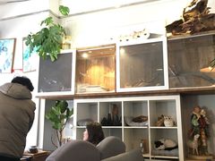 大堂-吉丁鸟咖·异宠·寄养
