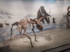 -辽宁古生物博物馆
