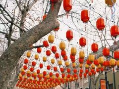 -1937青岛老味道·海肠捞饭·青岛菜(大鲍岛栈桥店)