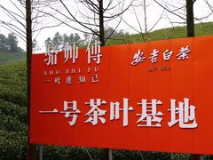 -正源安吉白茶特产享购商场(安吉店)