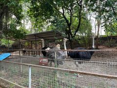 -东莞香市动物园