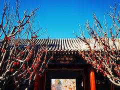 -颐和园