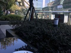 -新贝乐意大利餐厅(苏州中心店)