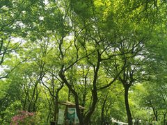 -岳麓山风景名胜区