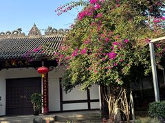 -桂湖森林公园