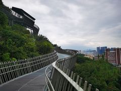 -福道