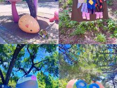 -北京西山国家森林公园