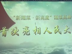 -坛宗剁椒鱼头(河西王府井店)