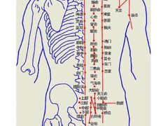-孟氏拔罐(纬一路店)