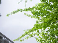 -大龙山(地铁站)