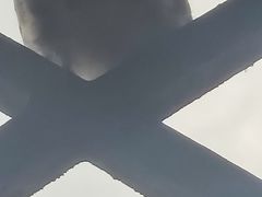 -仁宝新天地