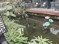 -大妙火锅·非物质文化遗产(东湖公园店)