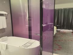 -南京禄口机场雅高铂尔曼大酒店