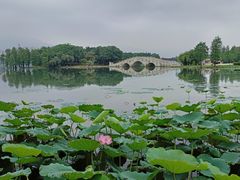 -飞来湖湿地公园