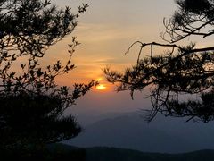 -内乡宝天曼生态旅游区