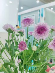 -芙贝佳禾·痘肌管理中心
