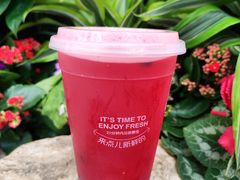 玫瑰小红莓-鲜果时间·果蔬茶(赛格负二层店)