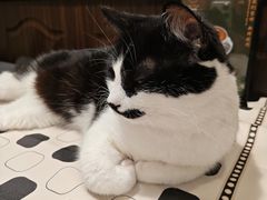 -路易时光(蕴川路店)