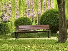 -唐城墙遗址公园