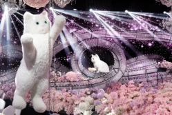 -天邑国际酒店·宴会厅