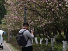 -贵阳市花溪国家城市湿地公园