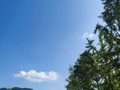 -阿依河景区